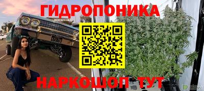 молекула духа Апшеронск