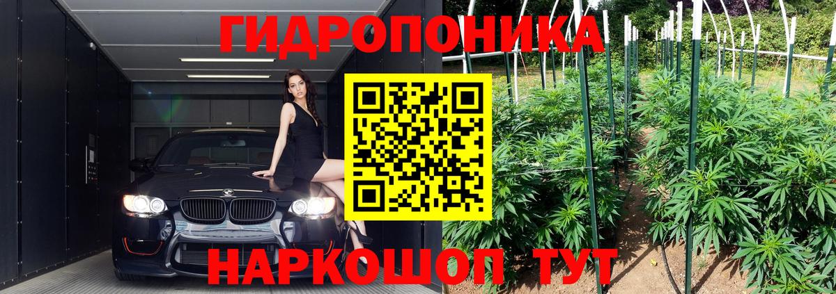 Шишки марихуана Bruce Banner  Вход с VPN  Каннабис SATIVA & INDICA  Волгоград  Канабис тримм 